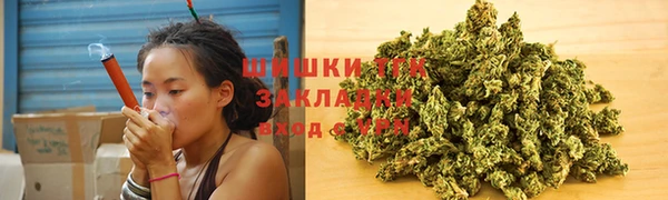 индика Заволжск