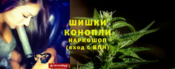 синтетический гашиш Заводоуковск