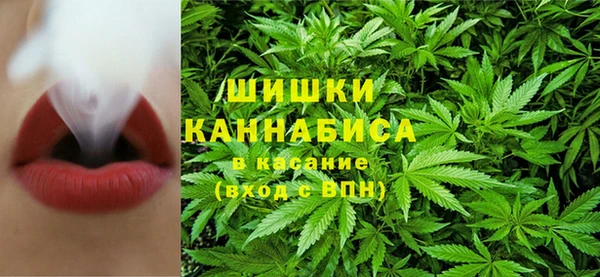тгк Белокуриха