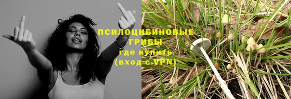 тгк Белокуриха