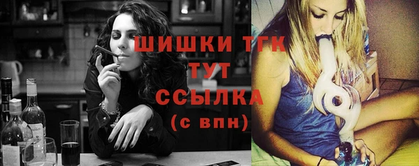 индика Богородицк