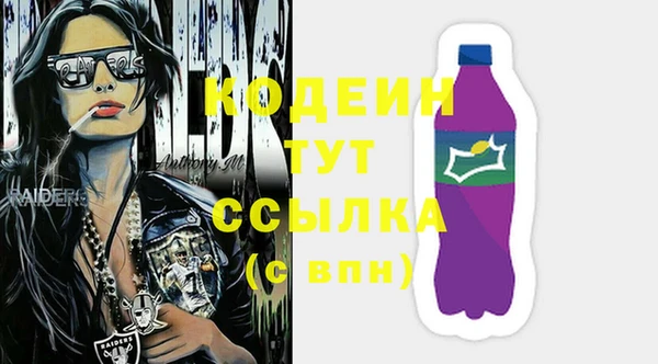 гидра Богородск