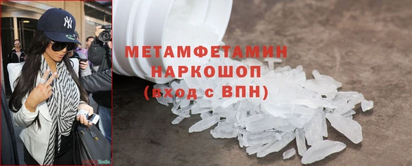 индика Богородицк